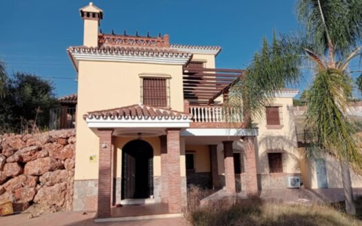 Large 3-storey house