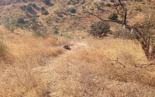 Grande parcelle de terrain proche de Málaga