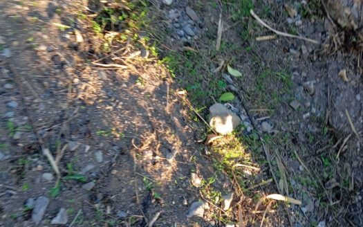 House 20km from Malaga – Aljaima